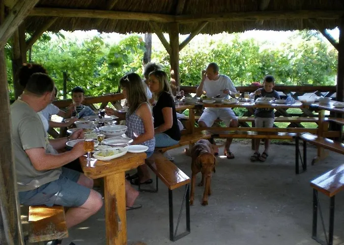 Boros Kastely Vendeghaz Villa Fonyód